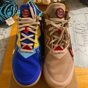 Wile E. vs Roadrunner Space Jam Lebron Lows